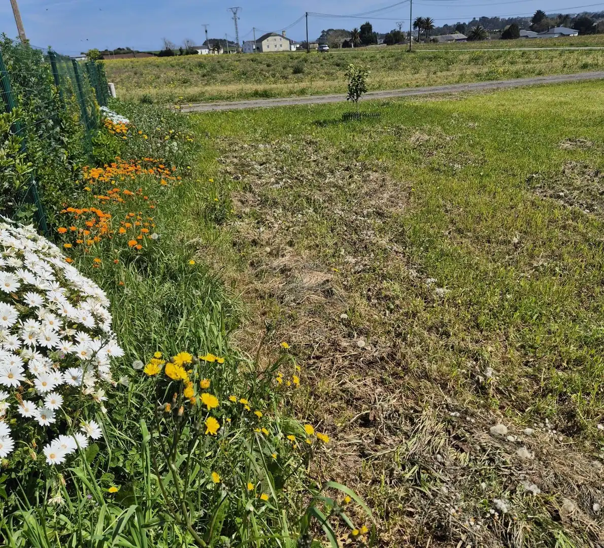 Grundstücke und Bauplätze zum Verkauf in Lugar Campos, imagen 4