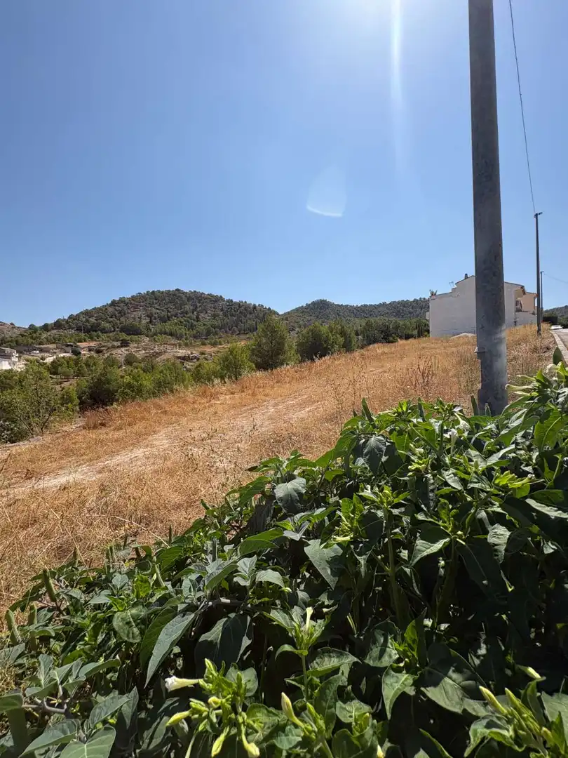 Terrenos y solares en venta en Pliego, imagen 4