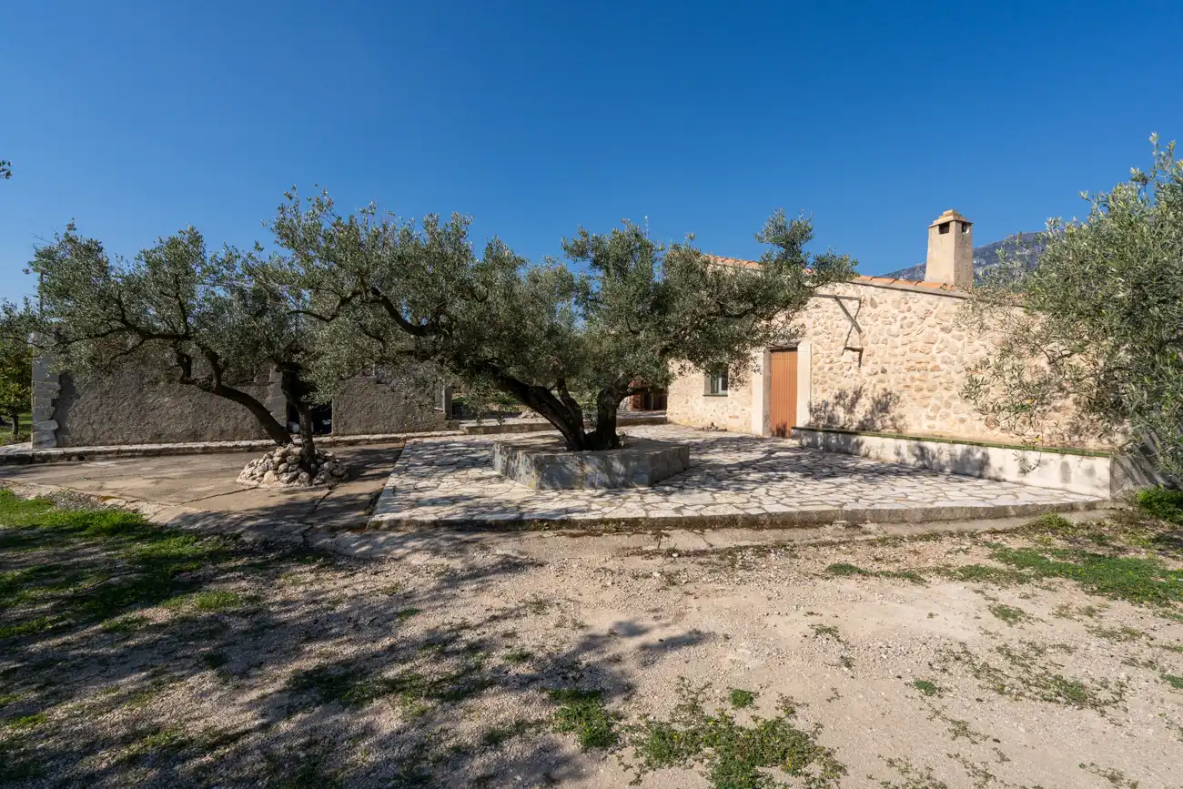 Terrain rustique à vendre à Roquetes, imagen 4