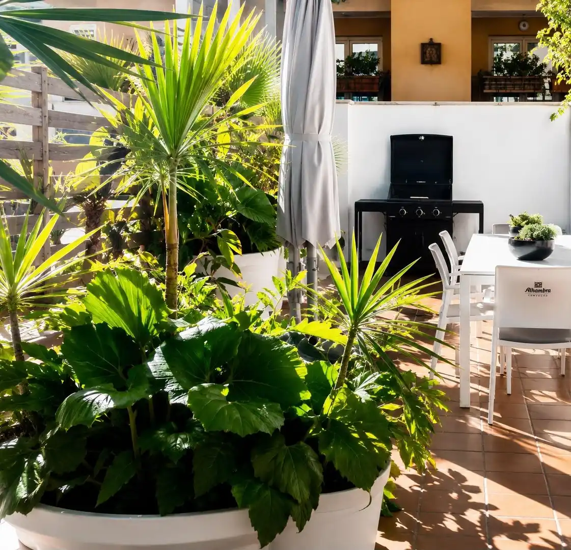 Terraza de Ático en venta en  Palma de Mallorca con Aire acondicionado, Jardín privado y Terraza