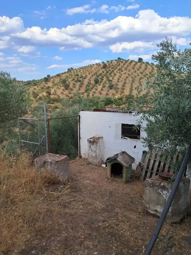 Casa o chalet en venta en Montoro