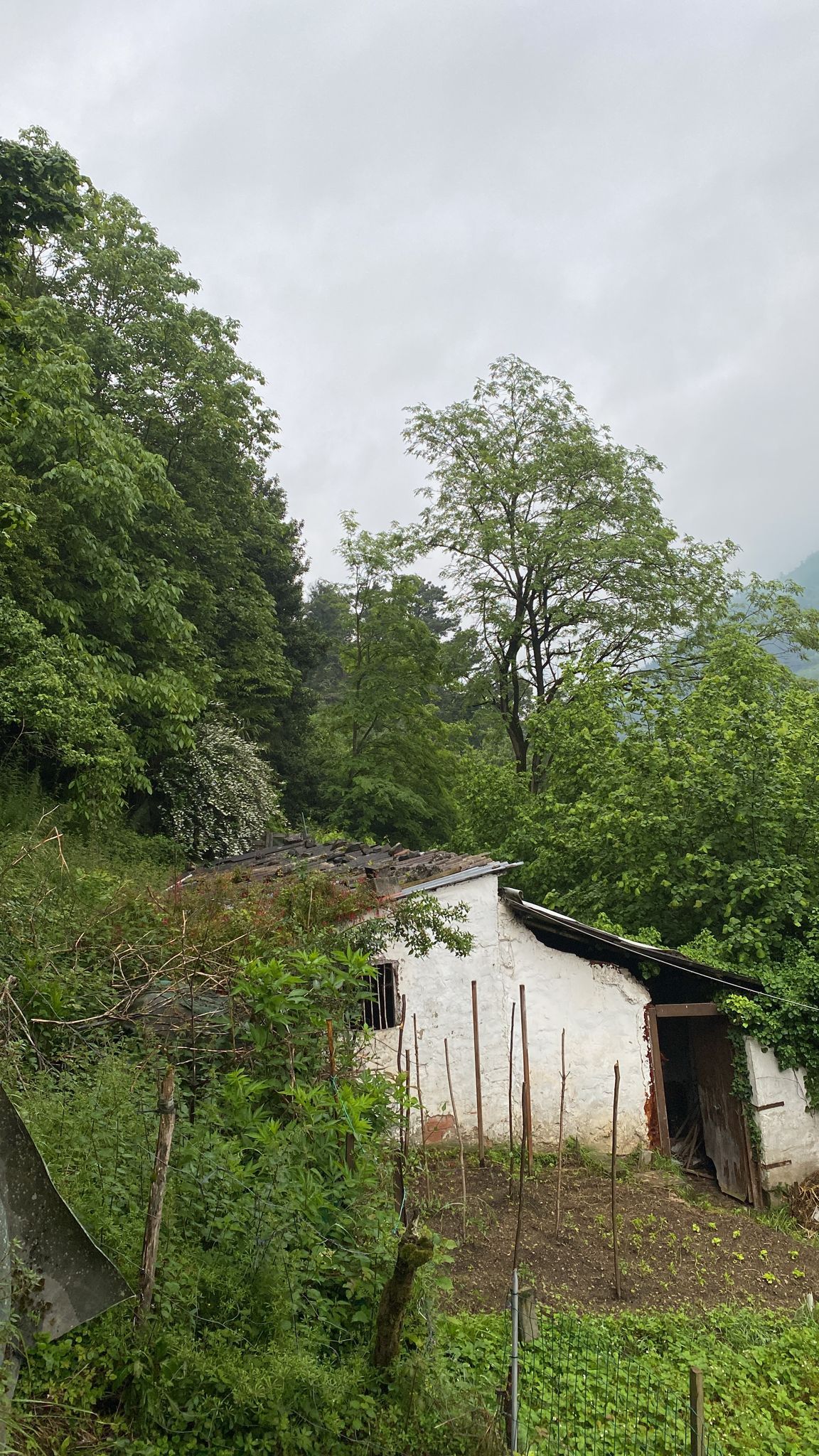Jardí de Finca rústica en venda en Tolosa
