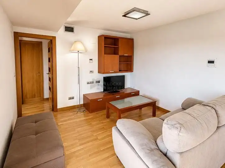 Sala d'estar de Estudi en venda en Castellón de la Plana / Castelló de la Plana amb Aire condicionat, Traster i Moblat