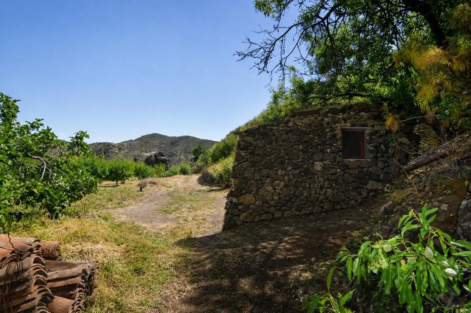 Vista exterior de Finca rústica en venta en Tejeda con Terraza