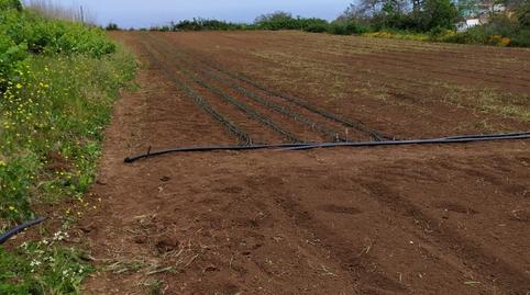 Photo 5 of Land for sale in Tacoronte - Los Naranjeros, Santa Cruz de Tenerife