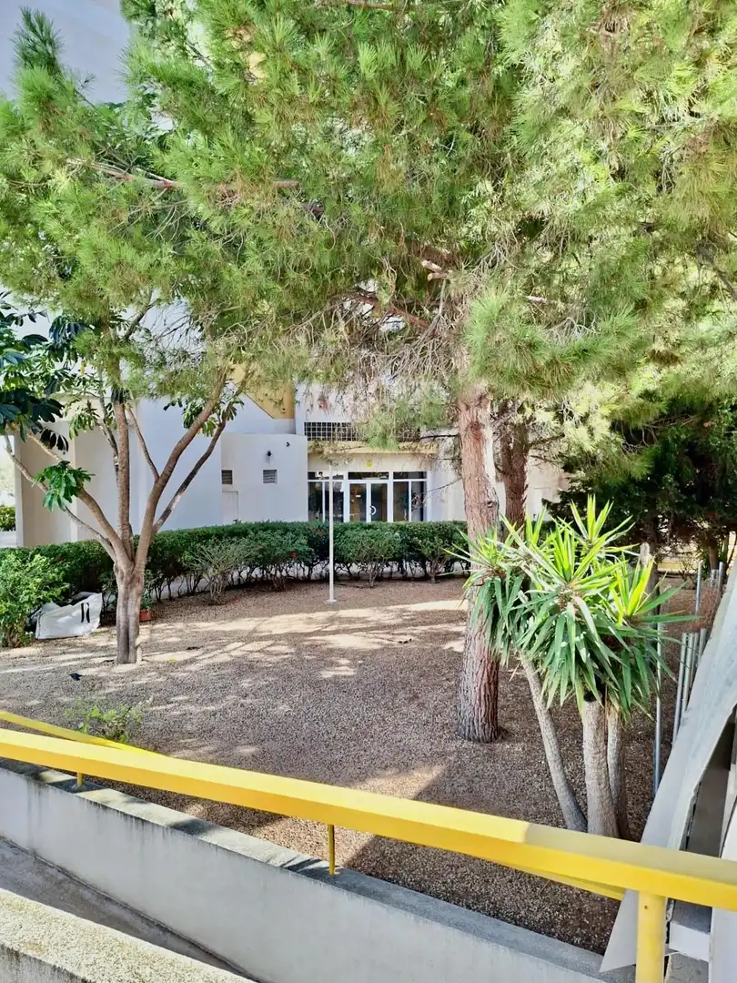 Apartament amb piscina en venda a Playa de Poniente, imagen 30
