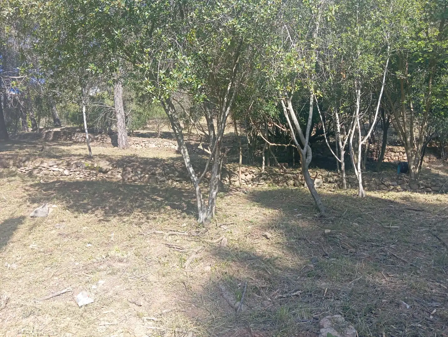 Residencial en venta en Pallejà