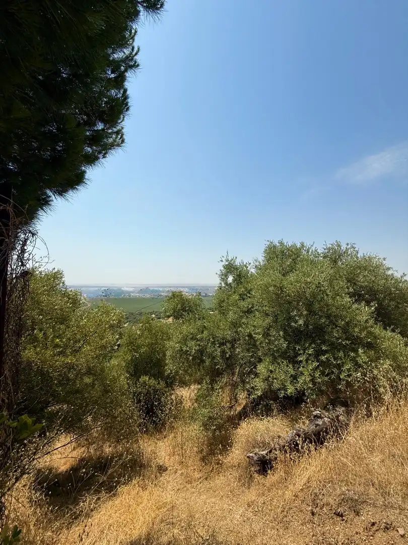 Grundstücke und Bauplätze zum Verkauf in Poniente-Norte - Miralbaida - Parque Azahara, imagen 4
