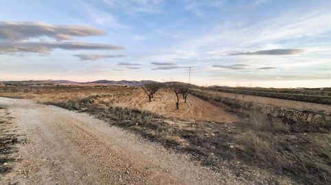 Parcela de 7.700 m con almendros de secano en Raspay, Yecla, immagine 2