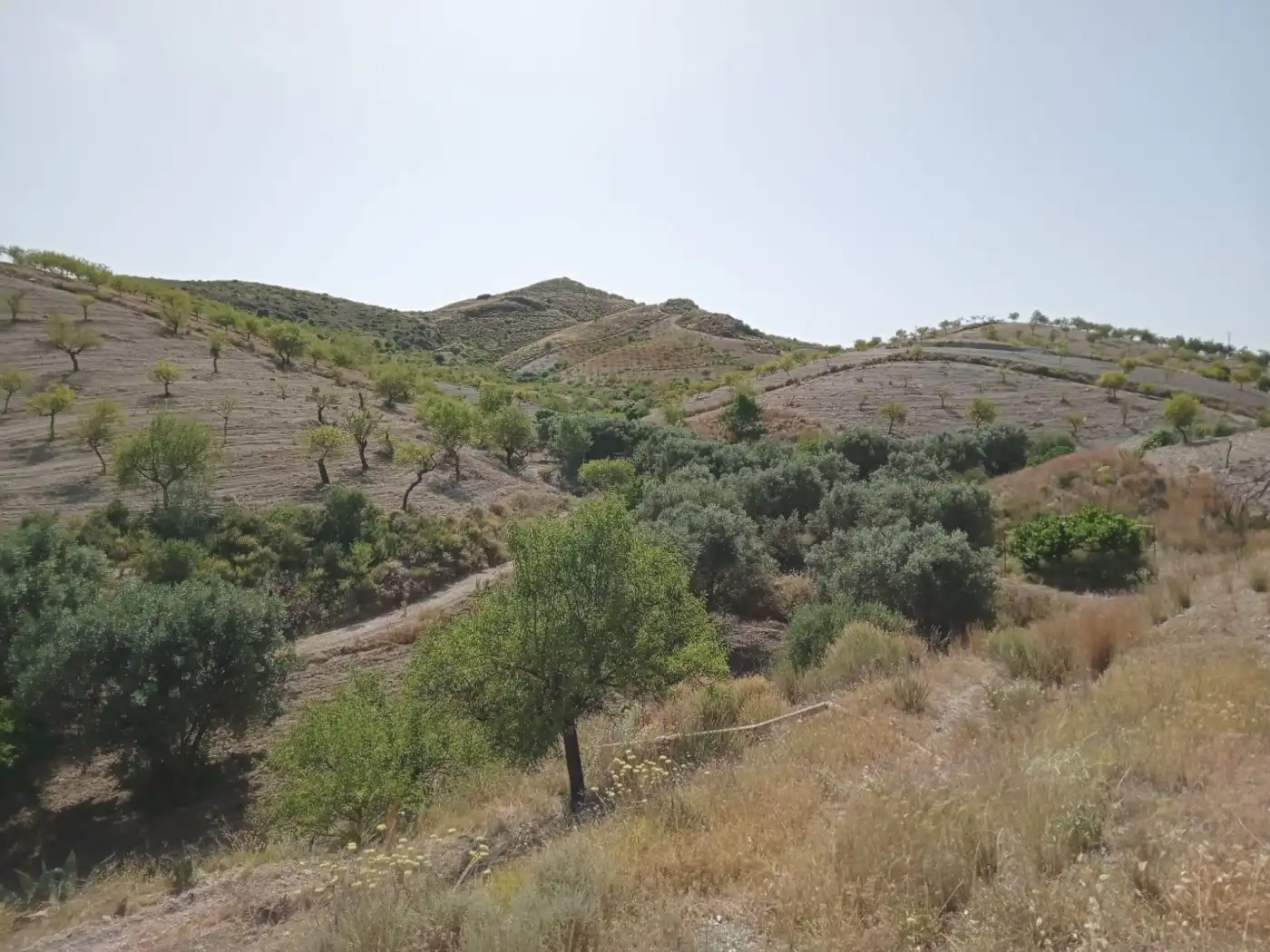 Country homes for sale in Puerto Lumbreras