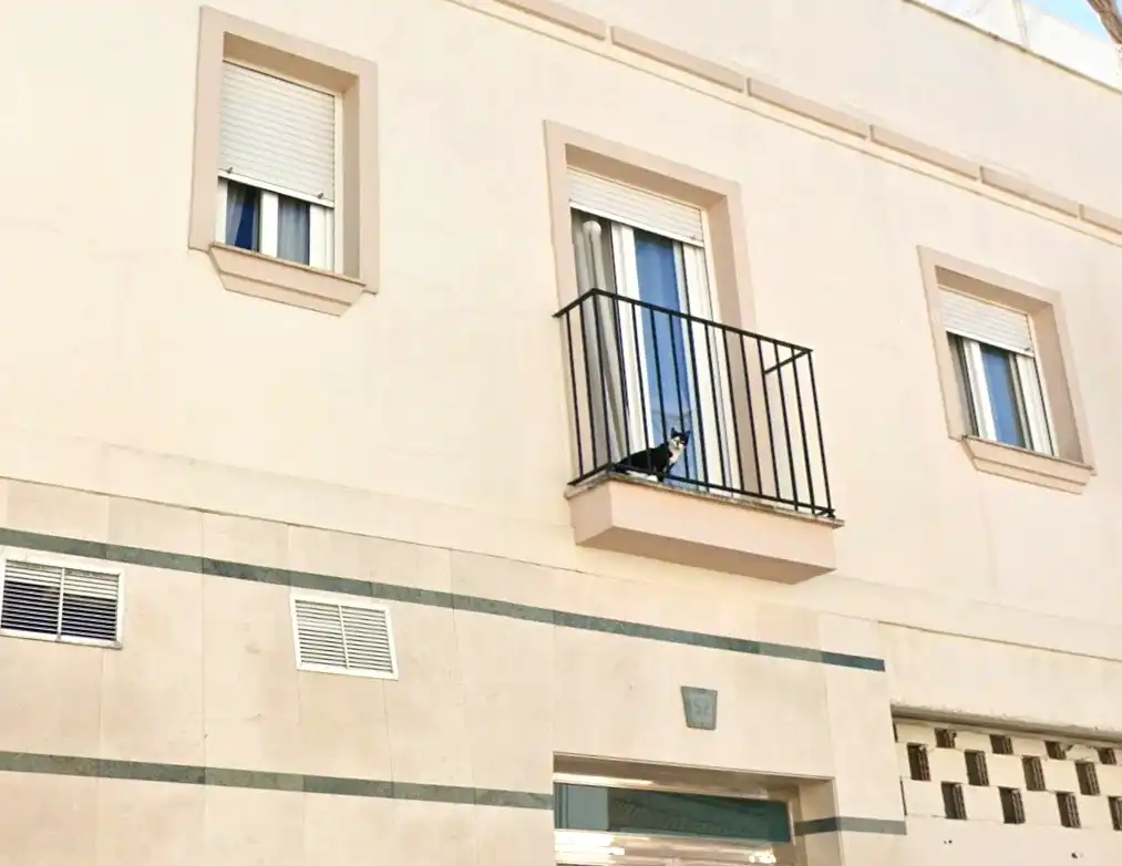 Terraza de Piso en venta en Pedrera