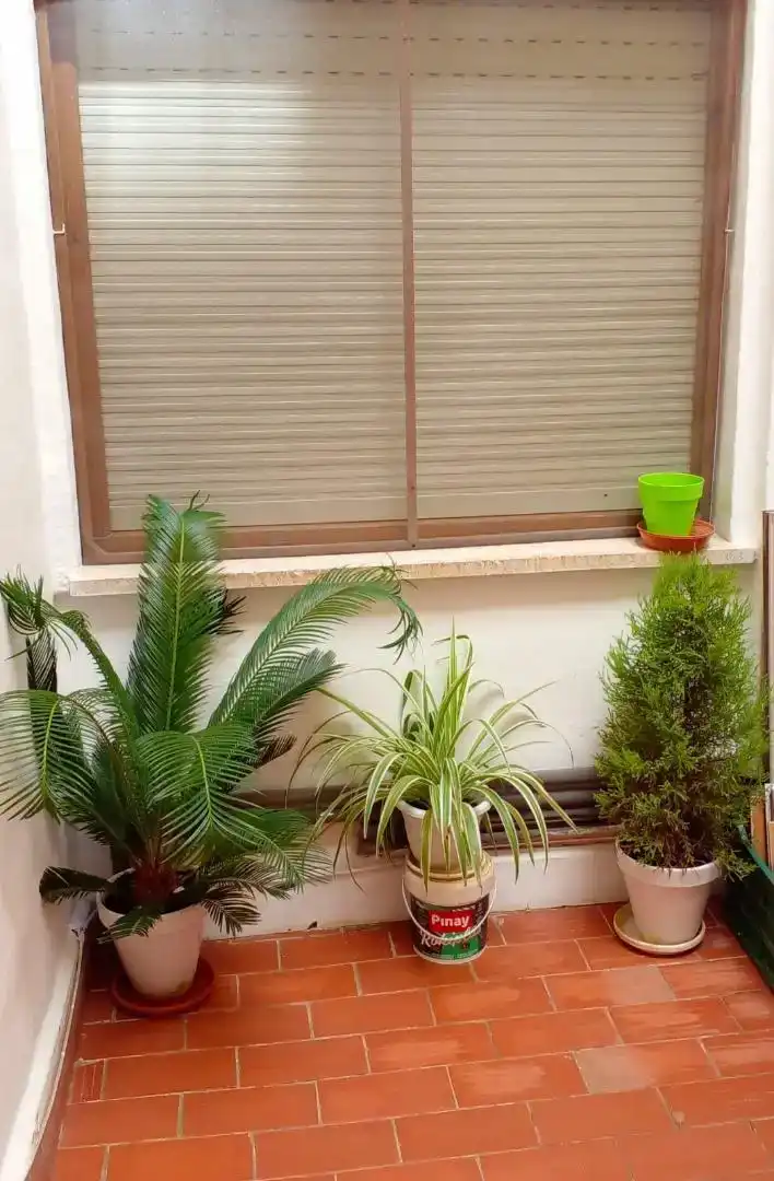 Terrassa de Pis en venda en Yecla amb Parquet
