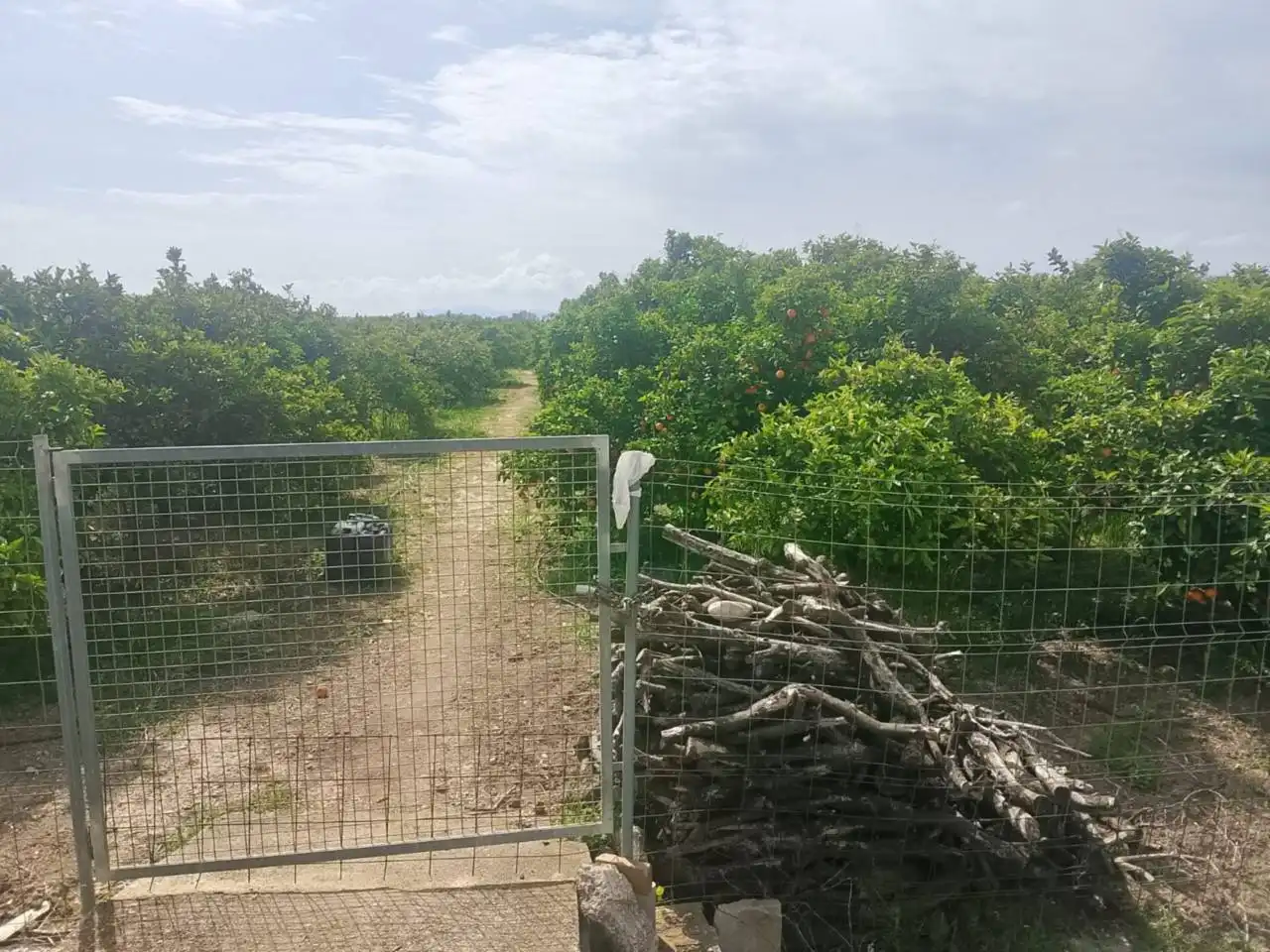 Land for sale in Guardamar de la Safor