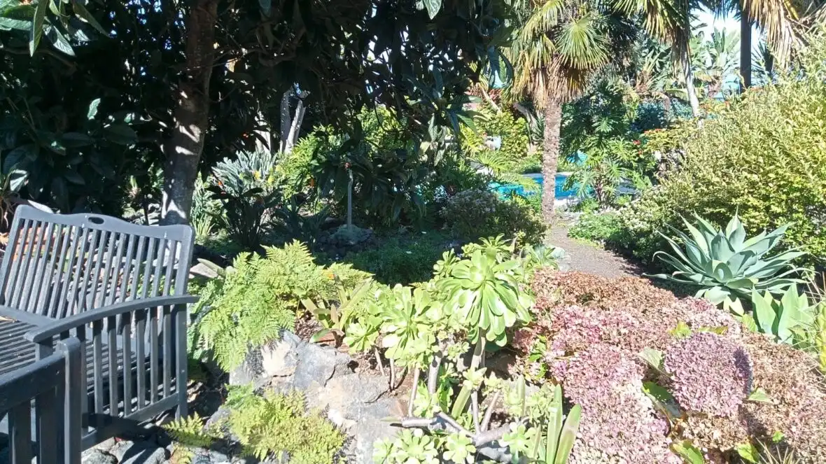 Jardí de Finca rústica en venda en Icod de los Vinos amb Terrassa