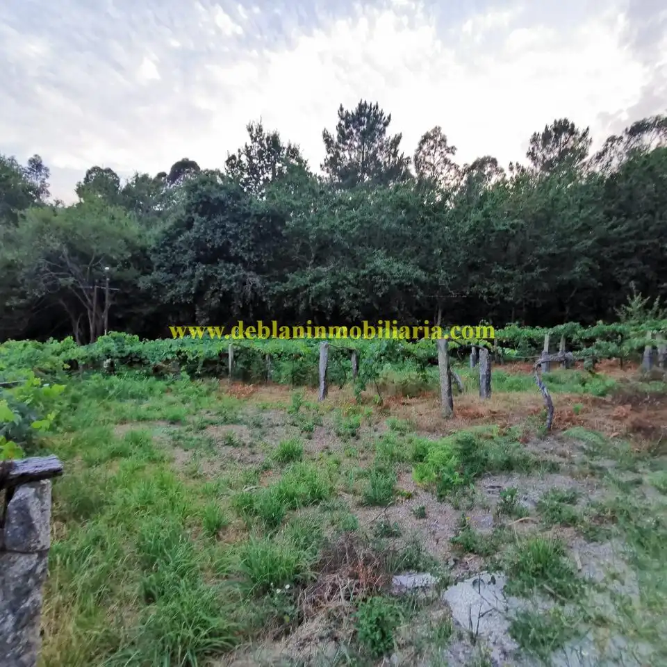 Terreno residencial en venta en Cotarel - Ribadelouro, imagen 10