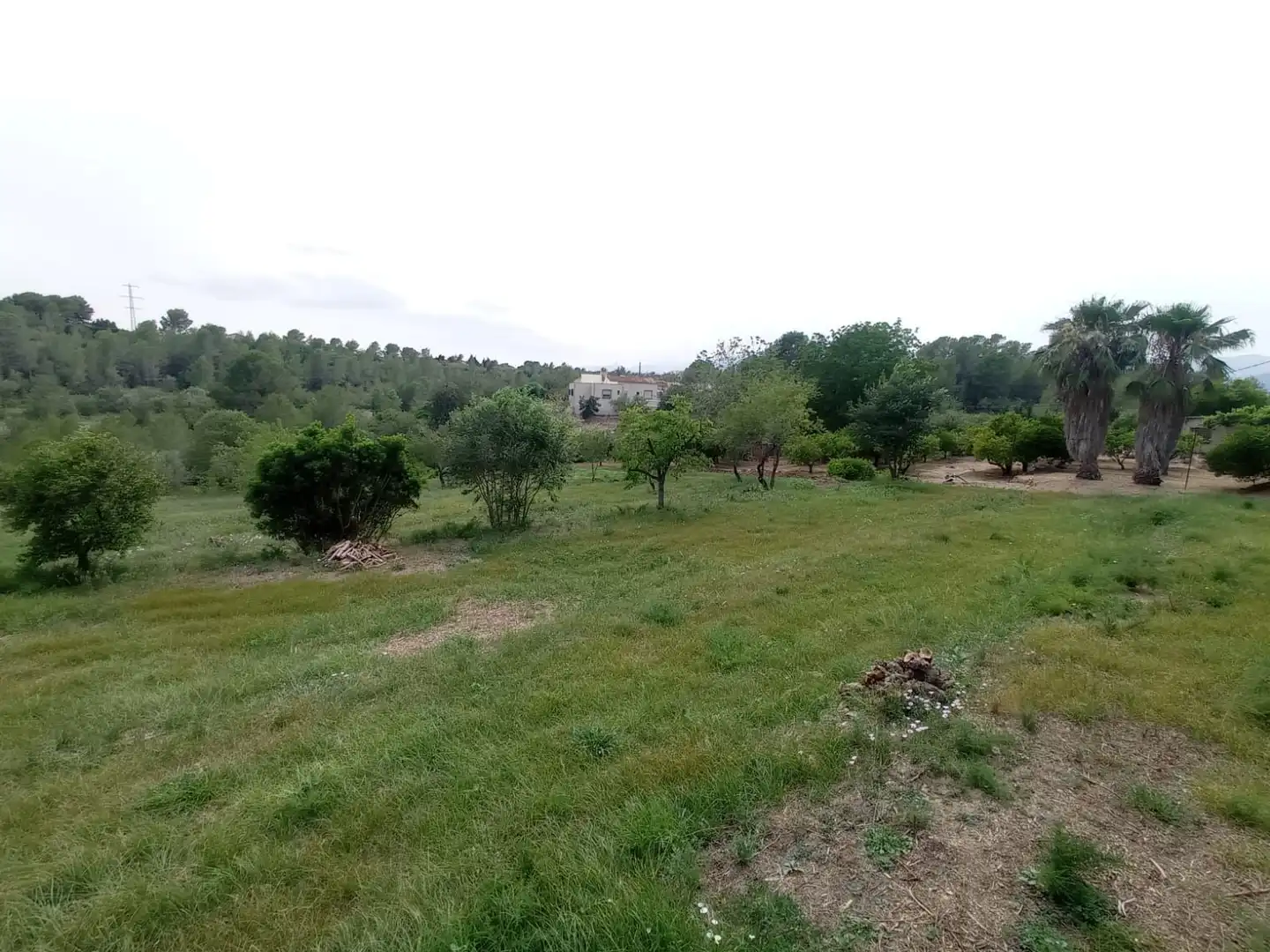 Houses for sale in Tortosa
