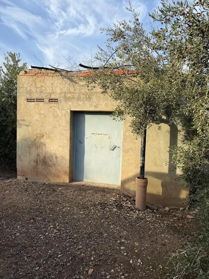Exterior view of Land for sale in Benamejí
