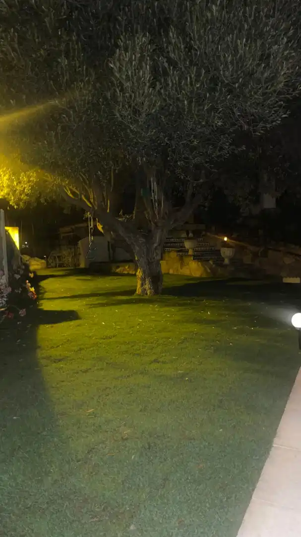 Jardí de Casa o xalet de lloguer en El Campello amb Aire condicionat, Calefacció i Jardí privat