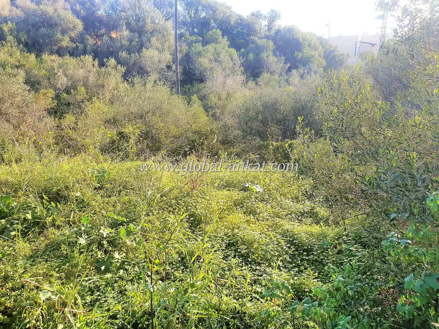 Residencial en venda en Manacor