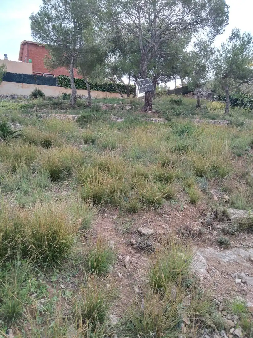 Terreny residencial en venda a calle Ramon Casas 22, imagen 8