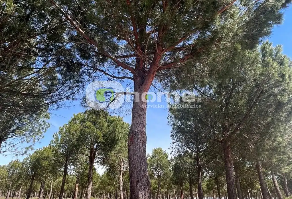 Terreno en venta en Granja de Moreruela