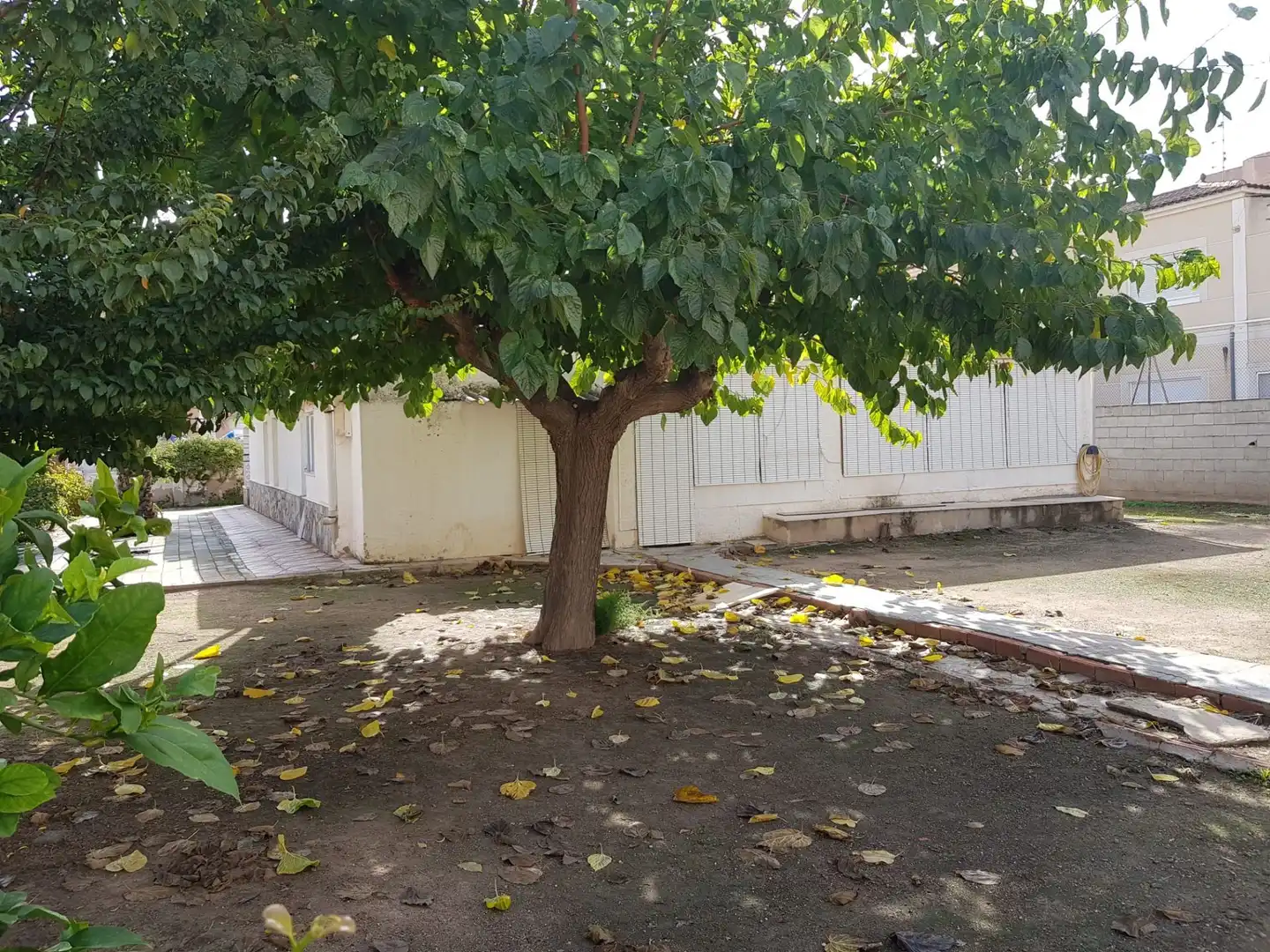 Casa amb jardí en venda a LUIS VIDAL, imagen 17