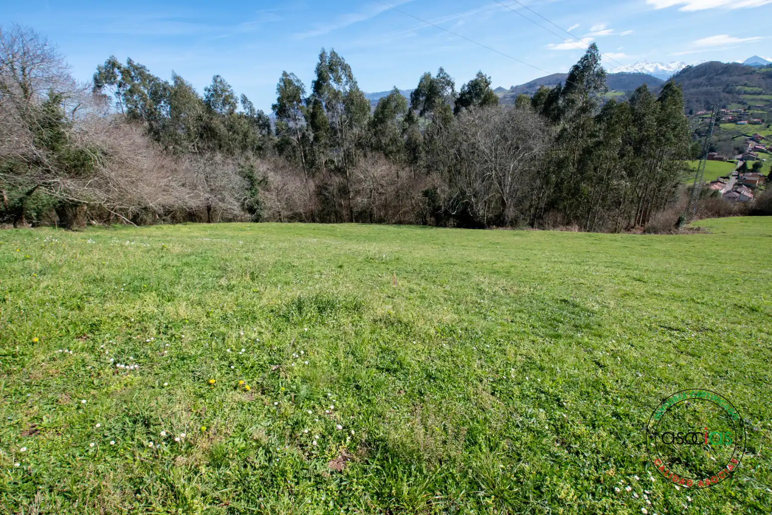 Terreno rustico in vendita a Cabranes - Naveda, imagen 22