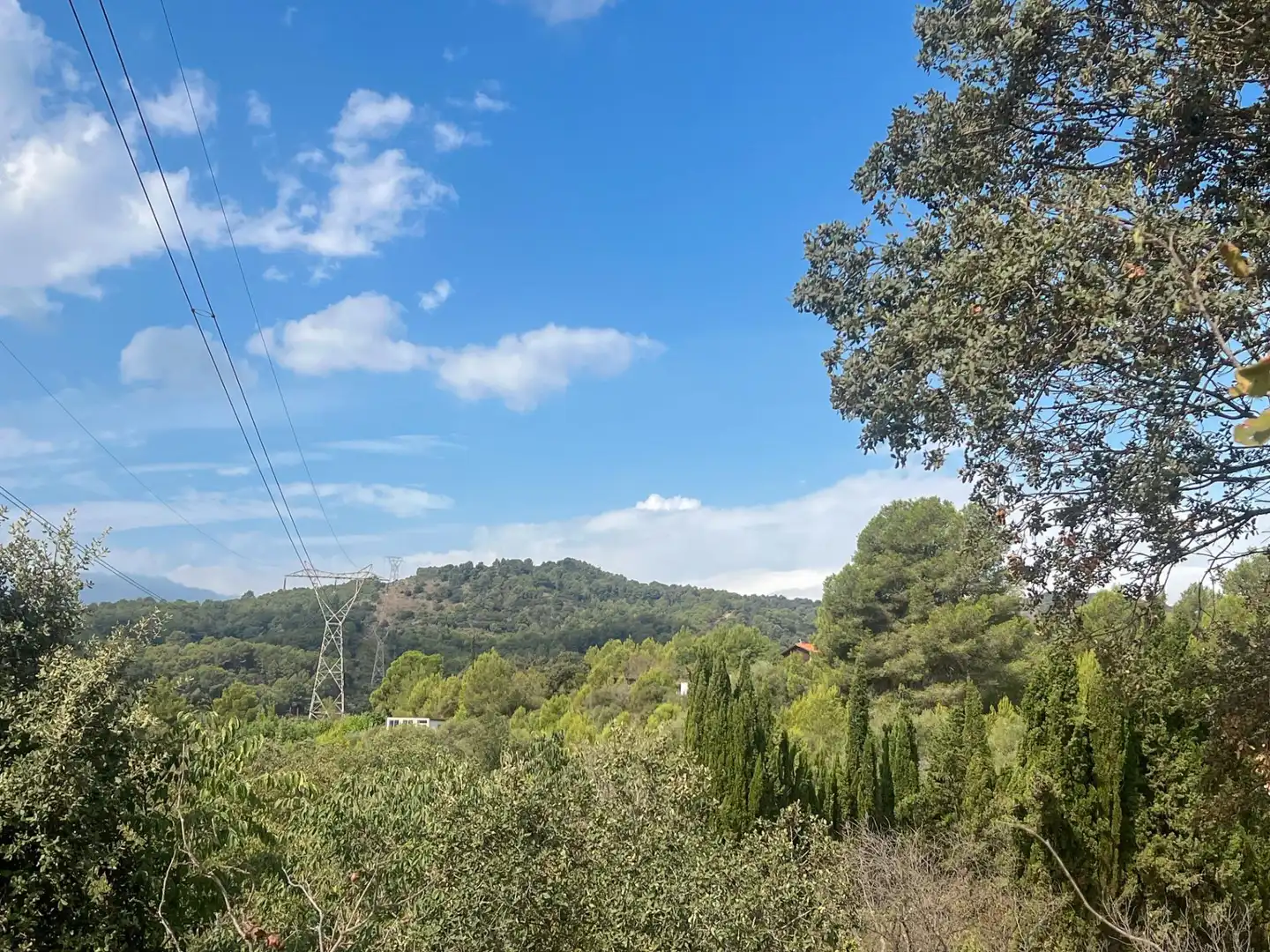Vista exterior de Finca rústica en venda en Les Borges del Camp amb Jardí privat, Traster i Piscina