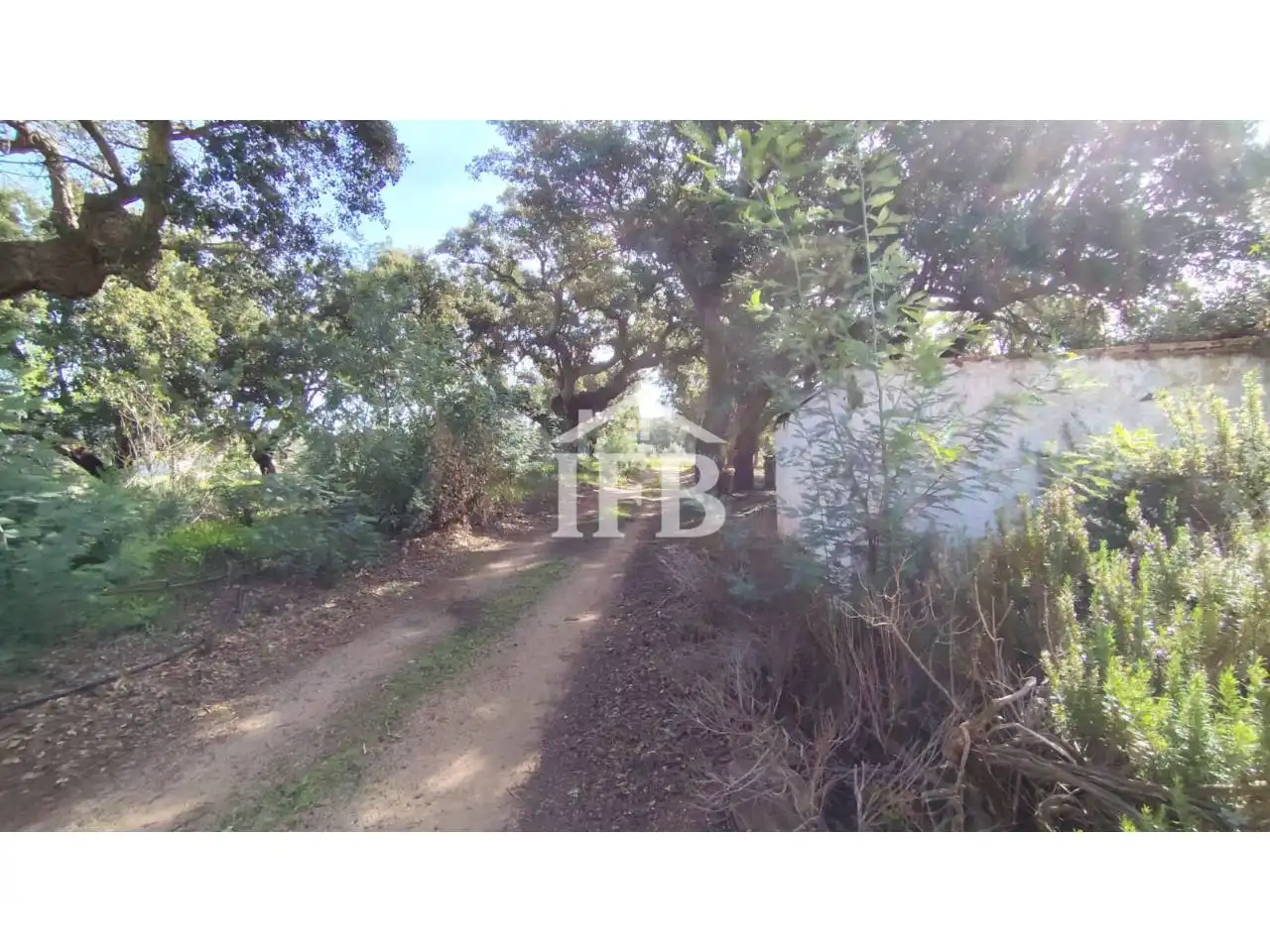 Terreno en venta en La Codosera