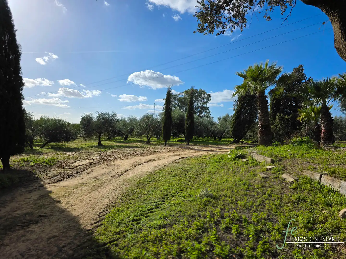 Country homes for sale in Marchena  with Swimming Pool and Alarm