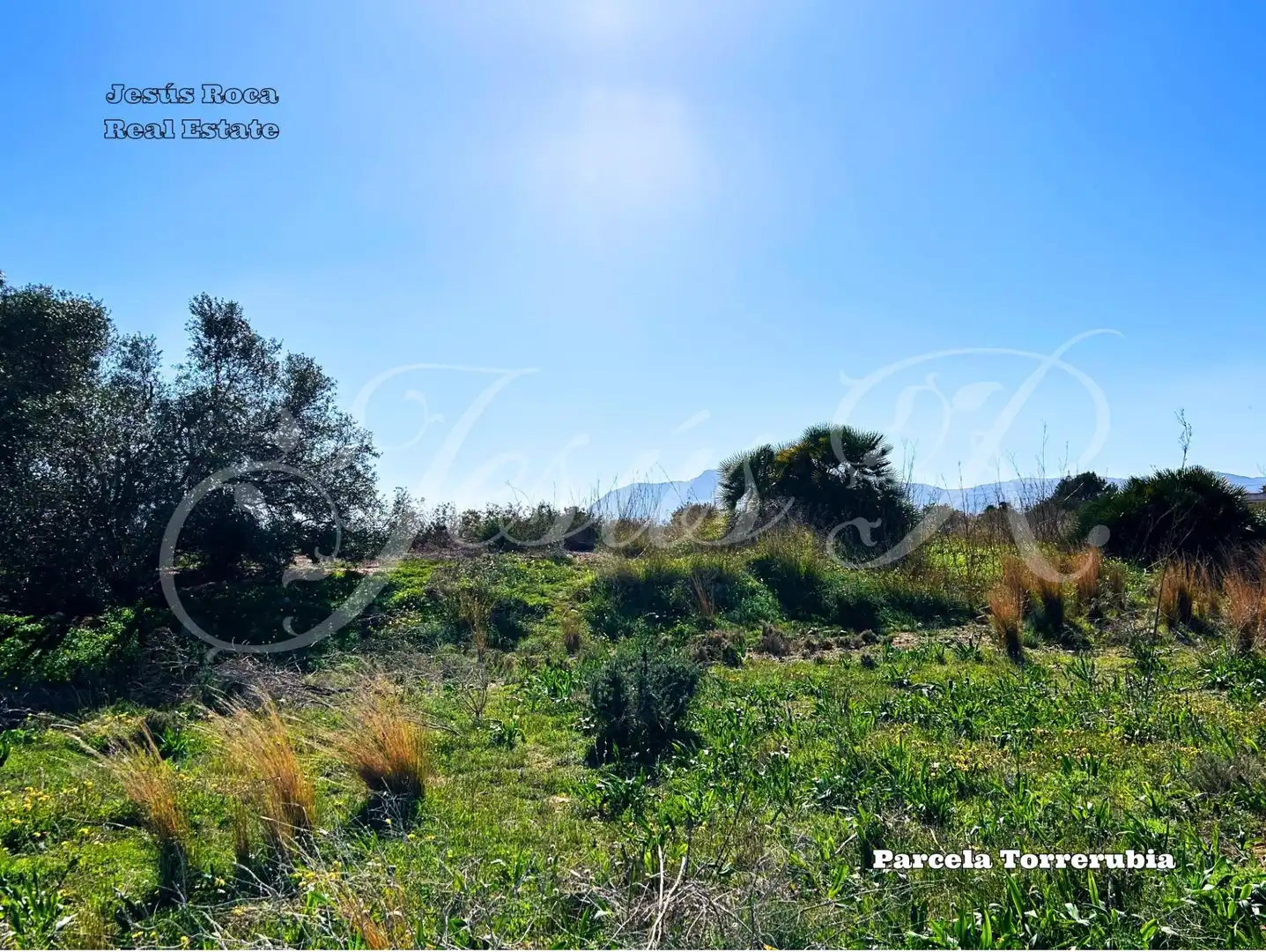 Terreno rustico in vendita a Pedanías Oeste, imagen 19