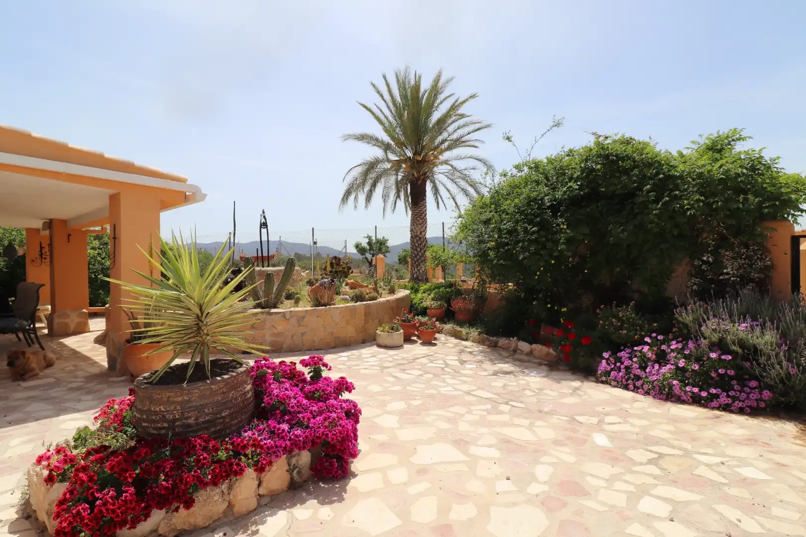 Casa rústica con jardín en venta en Hondón de las Nieves / El Fondó de les Neus, imagen 7