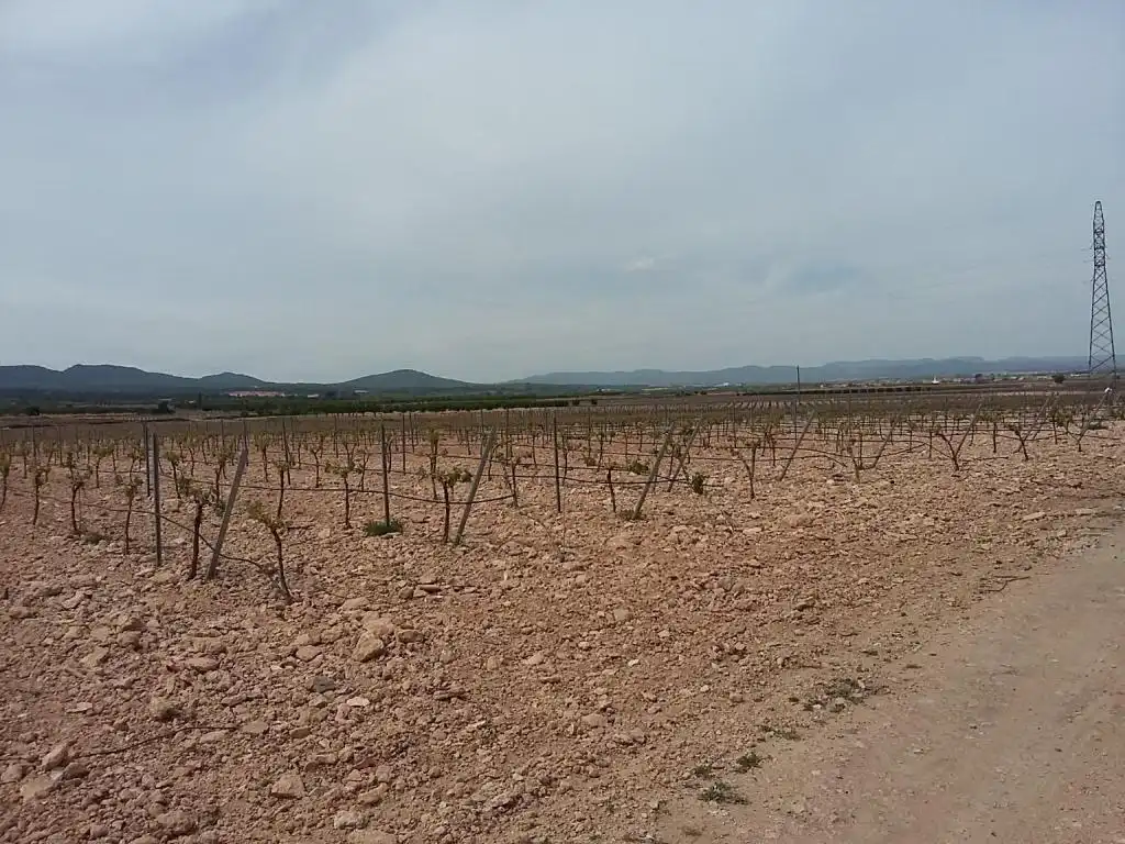 Terreny rústic en venda a POLIGONO, imagen 5