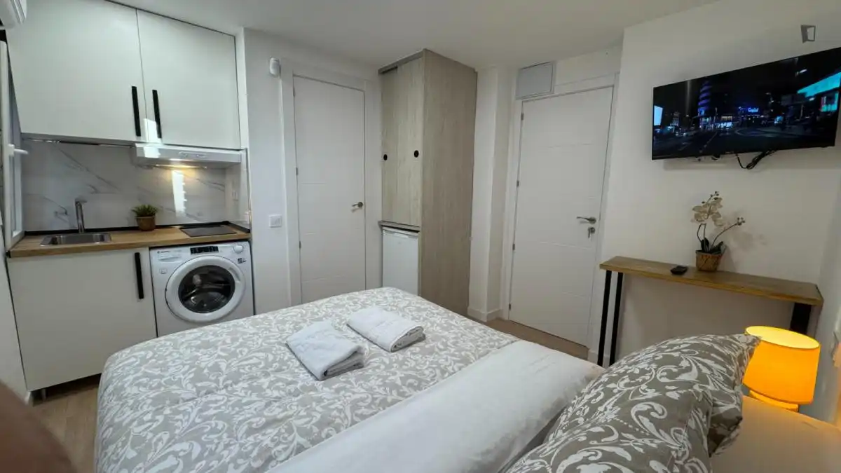 Bedroom of Study for rent in Madrid  with Air Conditioner, Heating and Furnished