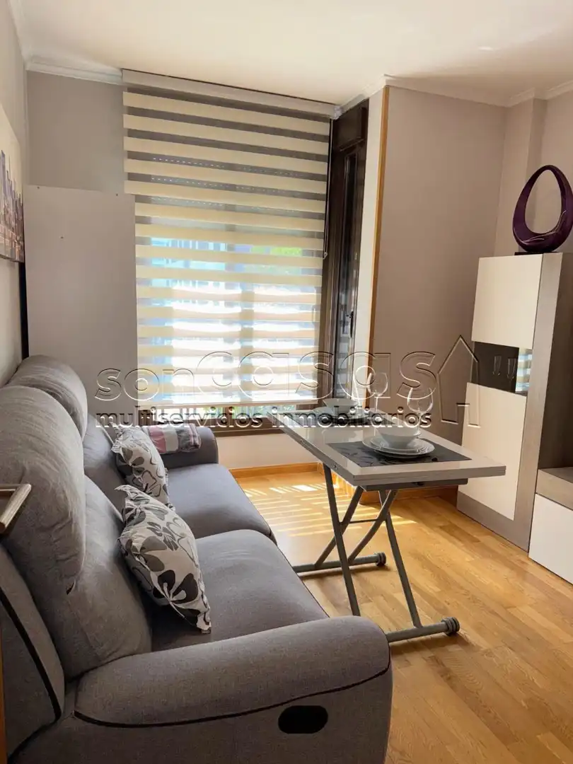 Sala d'estar de Apartament de lloguer en Madrid amb Aire condicionat, Calefacció i Piscina