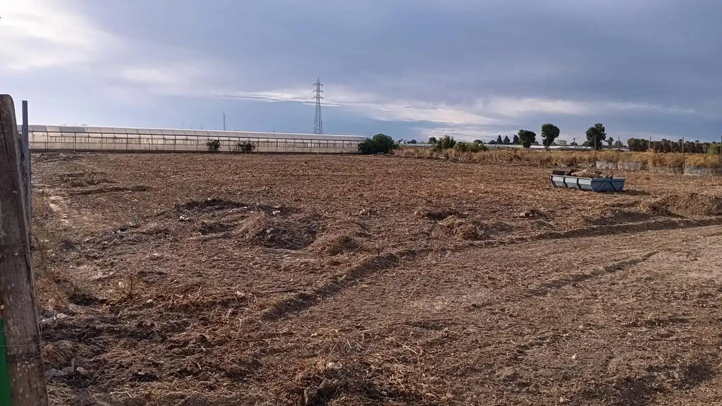 Terreni e lotti in vendita a Cerro Colón, imagen 5