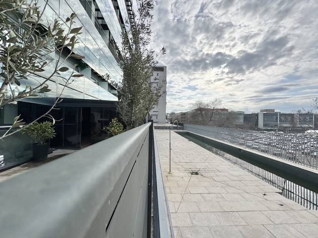 Local comercial en Venta en Polígono Industrial Sur