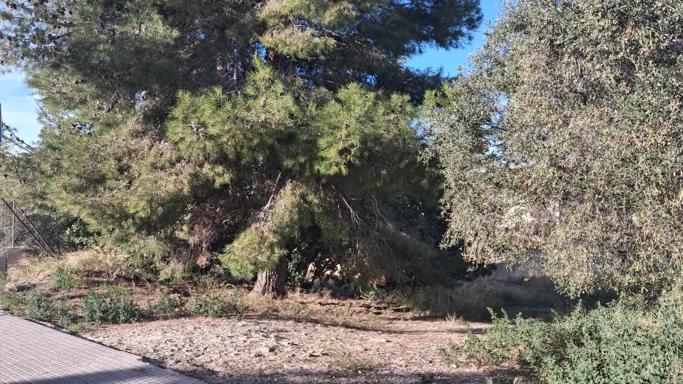 Residential land for sale in Carrer Ribera d' Ebre 10, imagen 9
