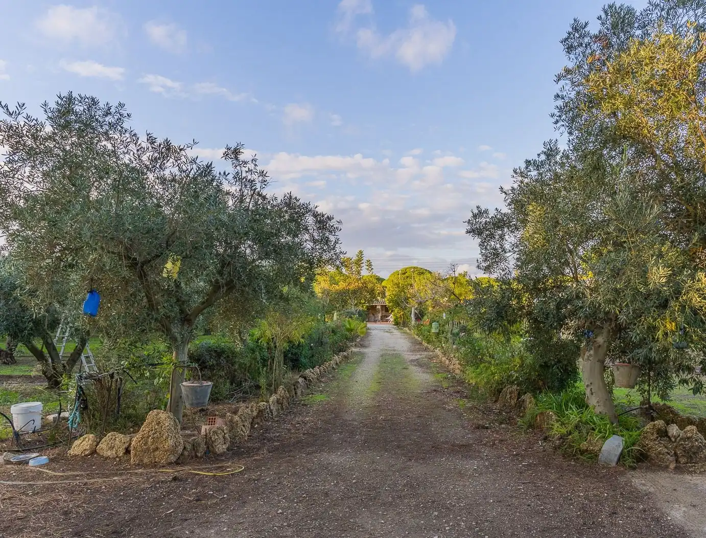 Houses for sale in Villanueva Golf