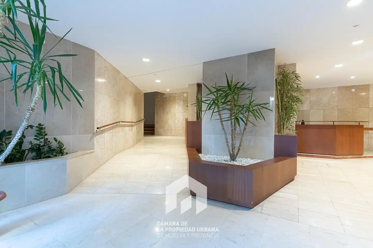 Flat for rent in Del Punto, Centro