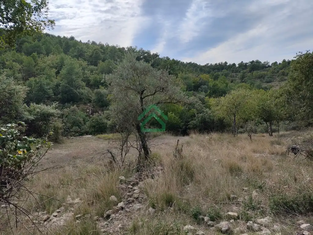 Finca rústica en venda a Carretera Isona, Coll de Nargó