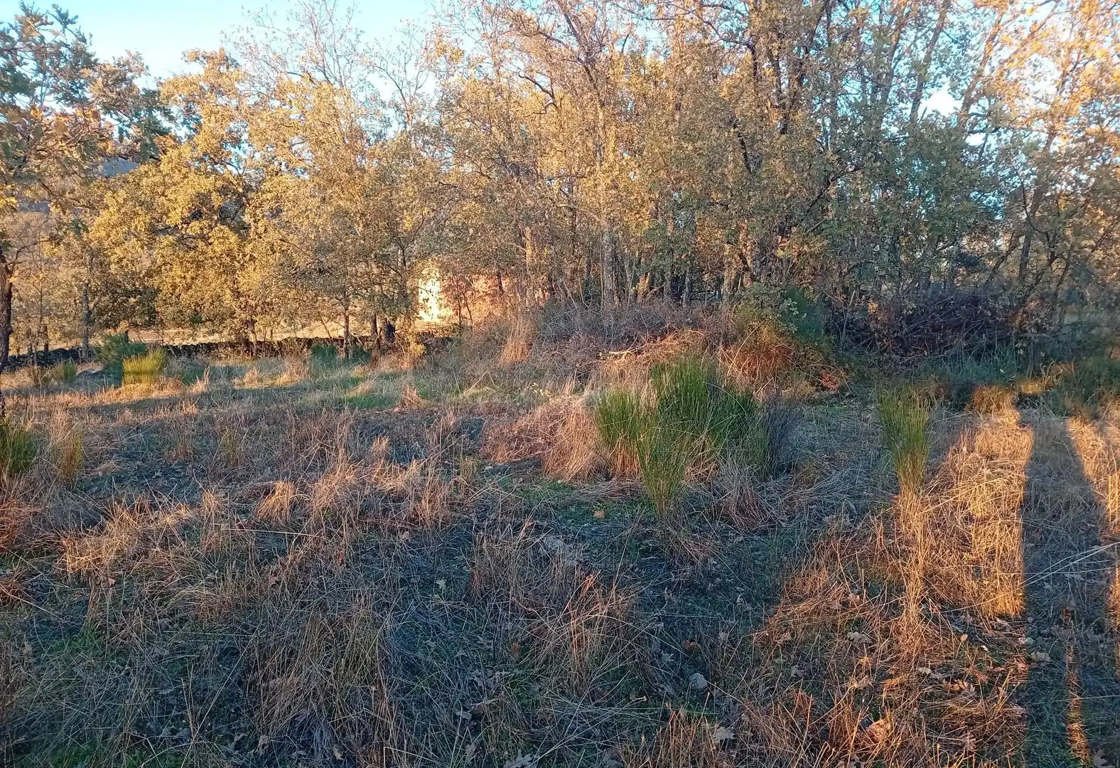 Terreni e lotti in vendita a Viandar de la Vera, imagen 14