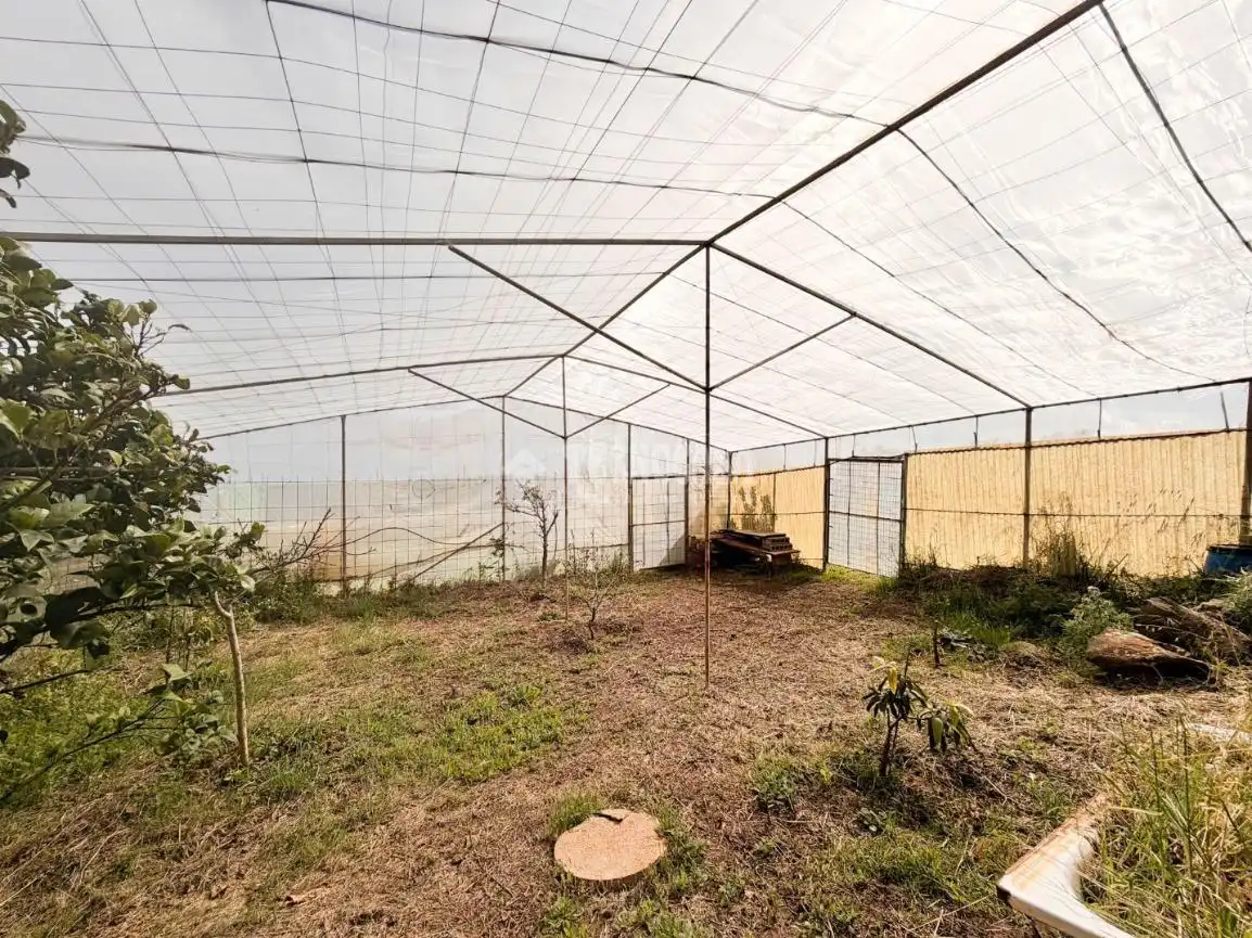 Terreny en venda en Ingenio