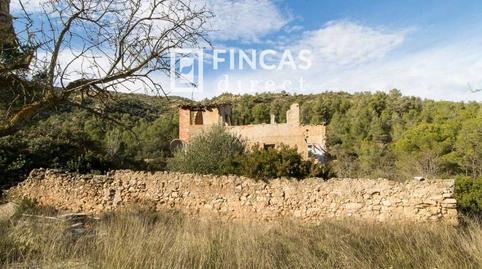 Foto 4 de Finca rústica en venda a 3j82 Pq, Benissanet, Tarragona