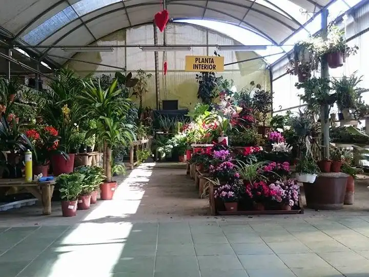 Business premises for transfer in B-140, 37, Zona Industrial 37, imagen 3