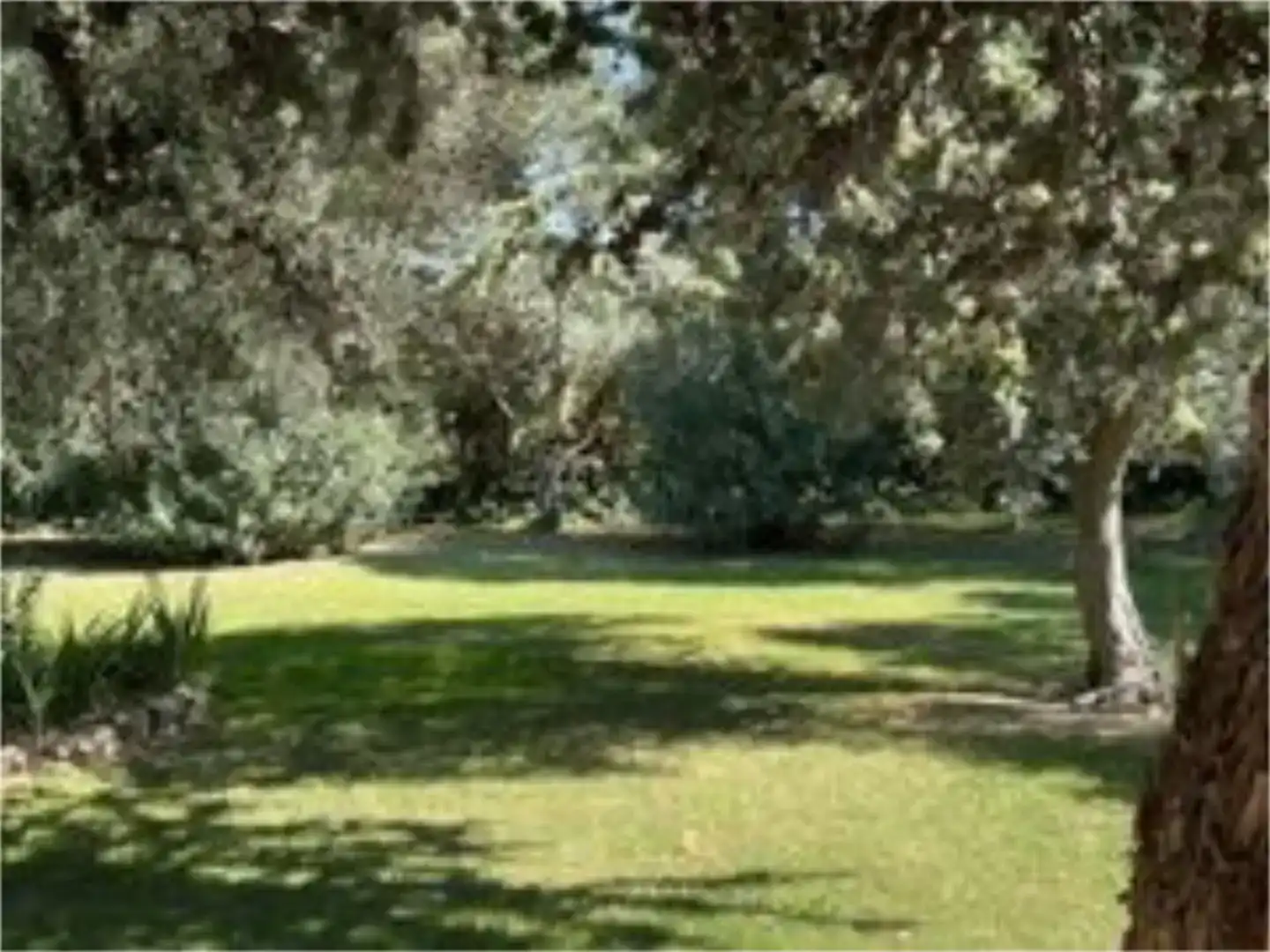 Finca rústica en venda en Pedrola amb Jardí privat, Piscina i Moblat