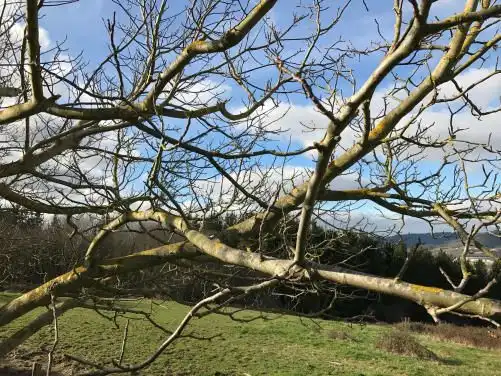 Rustikales Grundstück zum Verkauf in Derio, imagen 8