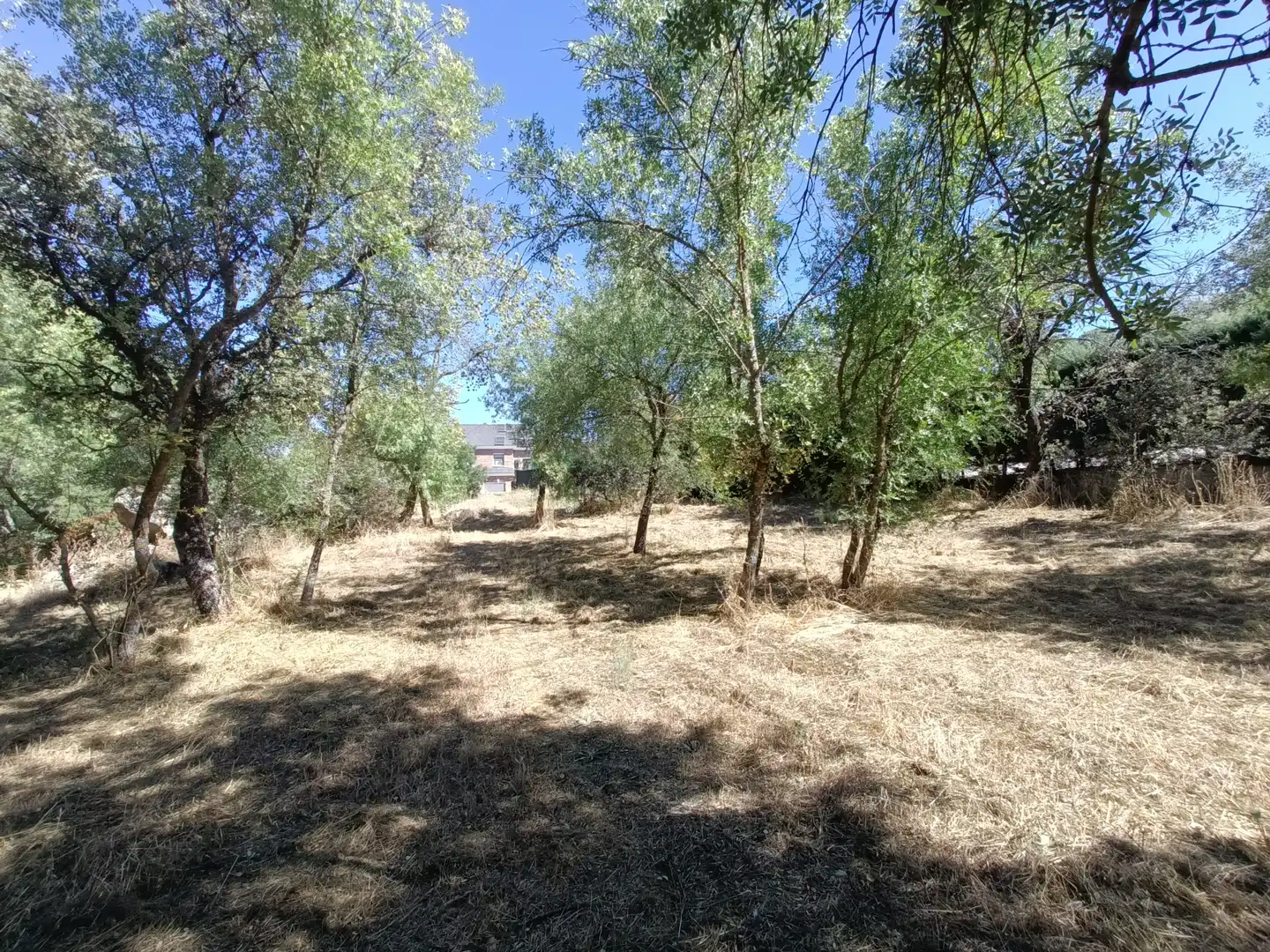 Terreny residencial en venda a Mojadillas - Parque de las Infantas - El Paraiso, imagen 7