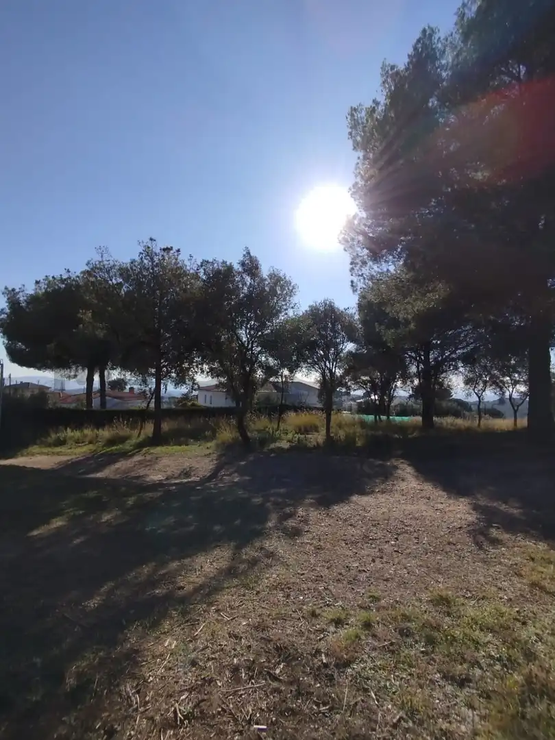 Terrenys i solars en venda a VILA DE VALL, imagen 31