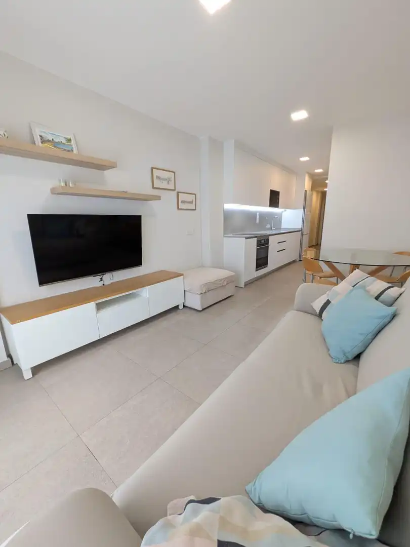 Sala d'estar de Pis de lloguer en Las Palmas de Gran Canaria amb Moblat